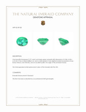 2.97 Ct. Emerald from Russia Appraisal