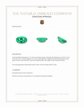 1.12 Ct. Emerald from Russia Appraisal