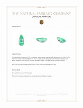 2.72 Ct. Emerald from Russia Appraisal