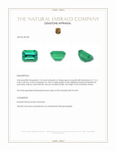 1.24 Ct. Emerald from Russia Appraisal