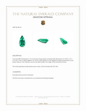 1.24 Ct. Emerald from Russia Appraisal