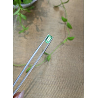 1.26 Ct. Emerald from Russia Life Style