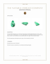 1.27 Ct. Emerald from Russia Appraisal