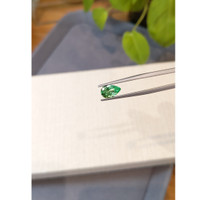 1.27 Ct. Emerald from Russia Life Style