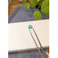 1.27 Ct. Emerald from Russia Life Style