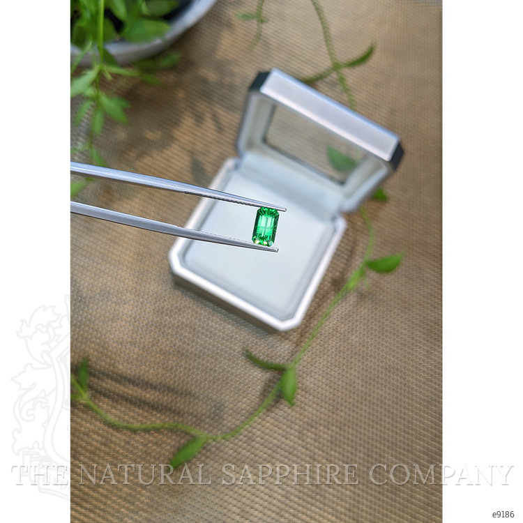 1.04 Ct. Emerald from Russia