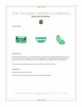 1.14 Ct. Emerald from Russia Appraisal