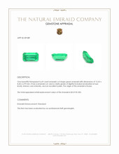 6.69 Ct. Emerald from Russia Appraisal