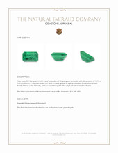 8.82 Ct. Emerald from Russia Appraisal