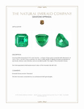 2.92 Ct. Emerald from Russia Appraisal