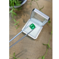 2.92 Ct. Emerald from Russia Life Style