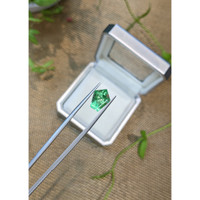 3.48 Ct. Emerald from Russia Life Style