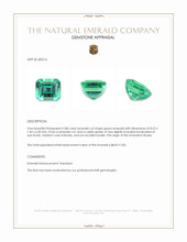 2.88 Ct. Emerald from Russia Appraisal