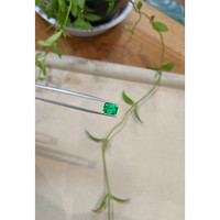 2.17 Ct. Emerald from Zambia Life Style
