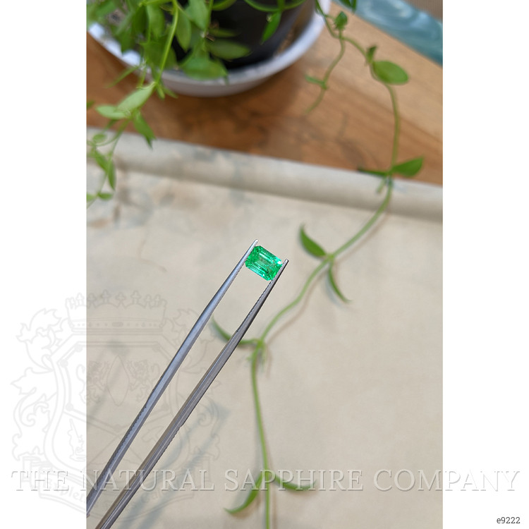1.45 Ct. Emerald from Zambia