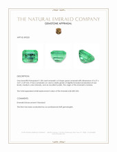 1.08 Ct. Emerald from Zambia Appraisal
