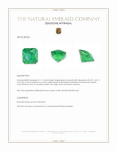 1.11 Ct. Emerald from Zambia Appraisal