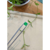 1.11 Ct. Emerald from Zambia Life Style