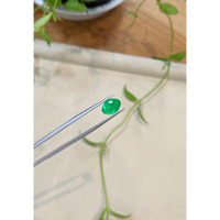 2.16 Ct. Emerald from Zambia Life Style