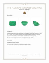 4.56 Ct. Emerald from Zambia Appraisal