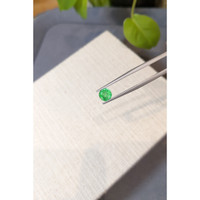 0.90 Ct. Emerald from Zambia Life Style