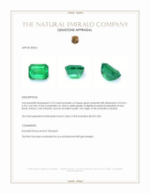 Jewelry Appraisal