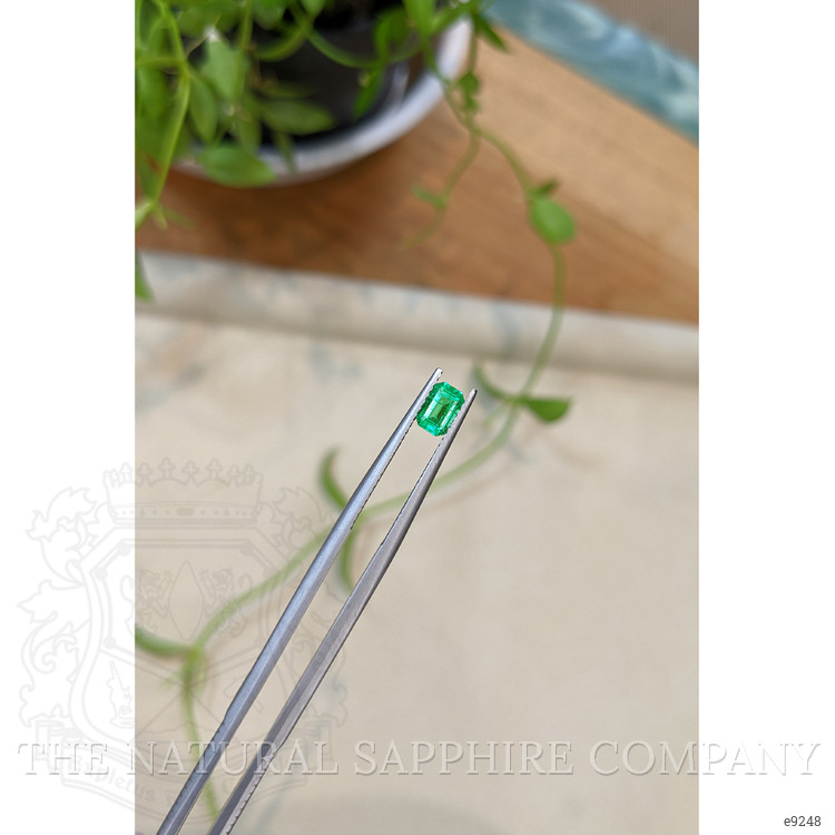 0.48 Ct. Emerald from Colombia