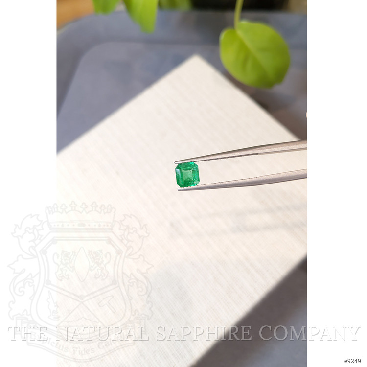 0.93 Ct. Emerald from Colombia