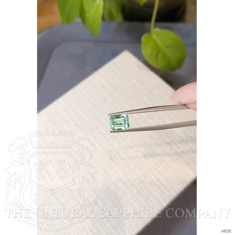1.49 Ct. Emerald from Colombia