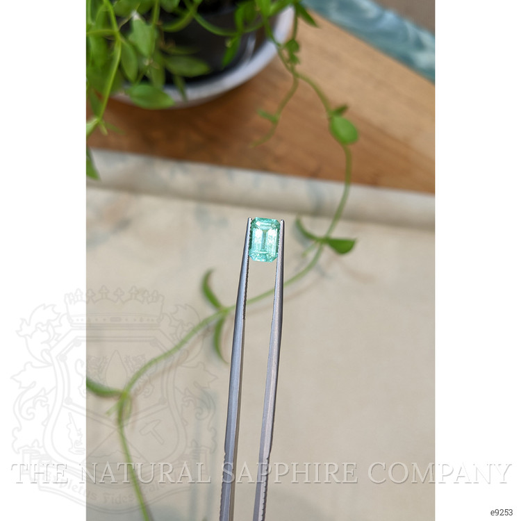 1.58 Ct. Emerald from Colombia