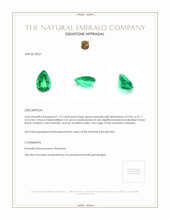 Jewelry Appraisal
