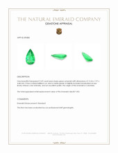 2.49 Ct. Emerald from Colombia Appraisal