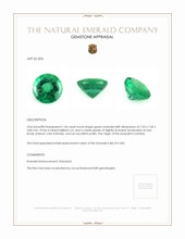 1.54 Ct. Emerald from Zambia Appraisal