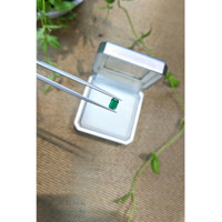 0.61 Ct. Emerald from Zambia Life Style