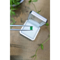 0.25 Ct. Emerald from Zambia Life Style