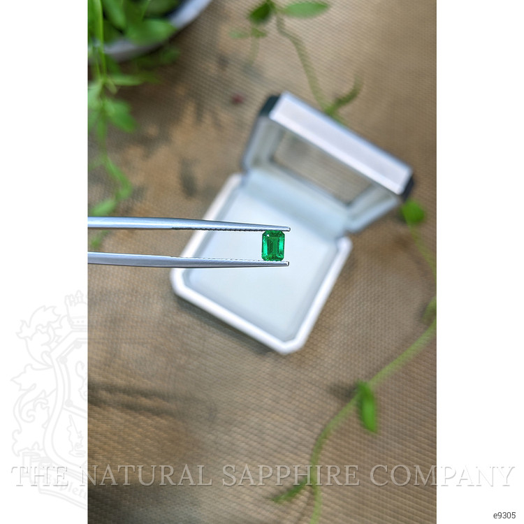 0.25 Ct. Emerald from Zambia