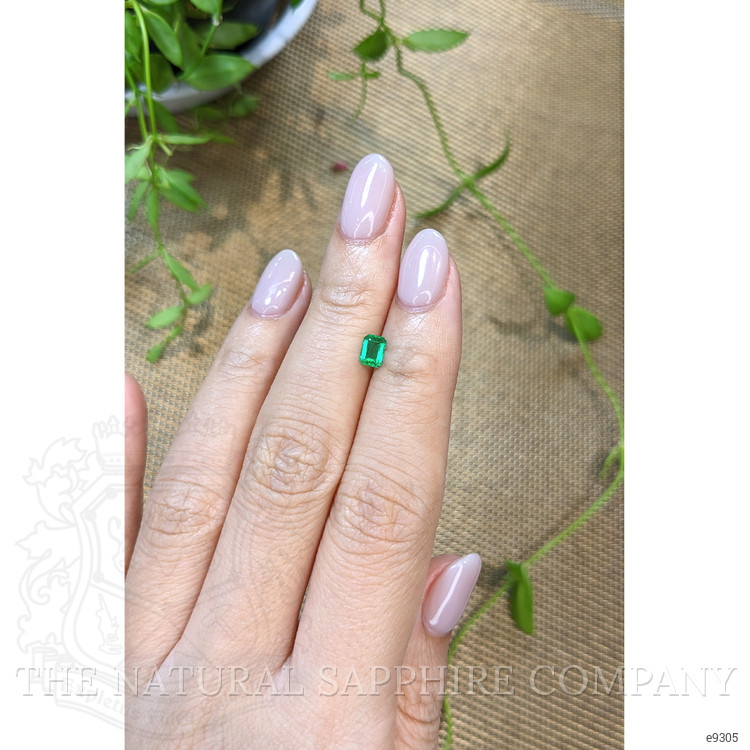 0.25 Ct. Emerald from Zambia