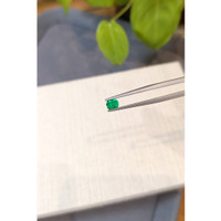 0.35 Ct. Emerald from Zambia Life Style