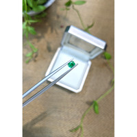 0.32 Ct. Emerald from Zambia Life Style