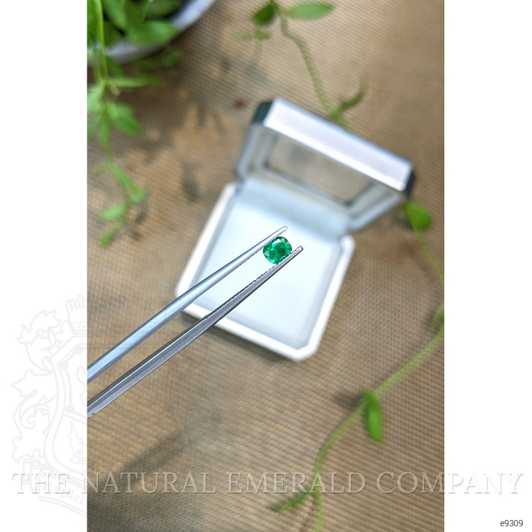 0.32 Ct. Emerald from Zambia