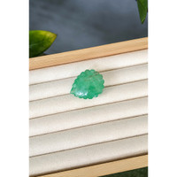 63.92 Ct. Emerald from Zambia Life Style