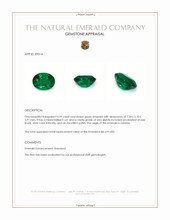 0.99 Ct. Emerald from Zambia Appraisal