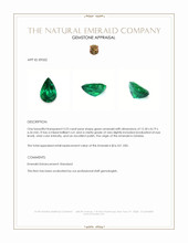 3.23 Ct. Emerald from Zambia Appraisal