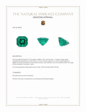 3.00 Ct. Emerald from Colombia - Muzo Appraisal