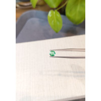 0.46 Ct. Emerald from Zambia Life Style