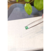 0.45 Ct. Emerald from Colombia Life Style