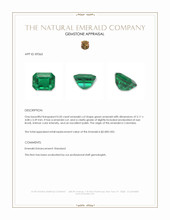 0.50 Ct. Emerald from Colombia Appraisal