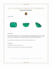 1.13 Ct. Emerald from Zambia Appraisal