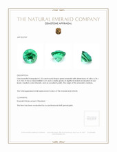 1.25 Ct. Emerald from Zambia Appraisal
