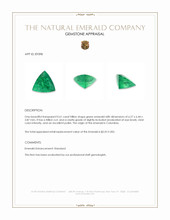 0.61 Ct. Emerald from Colombia Appraisal